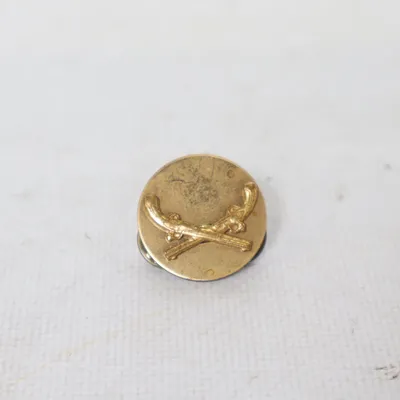 Pin (Guld) Ukendt metal