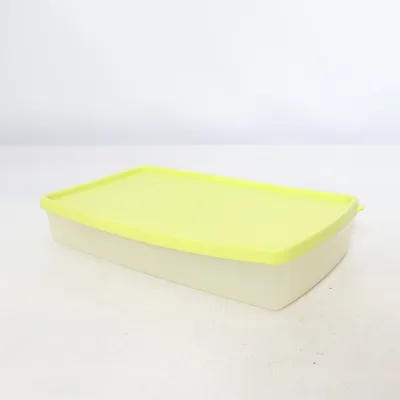 Lunch box (Green) from Tupperware
