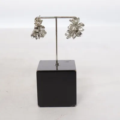 Örhängen (Silverfärgad) Okänd metall