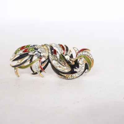 Broche (Meerkleurig) Onbekend materiaal