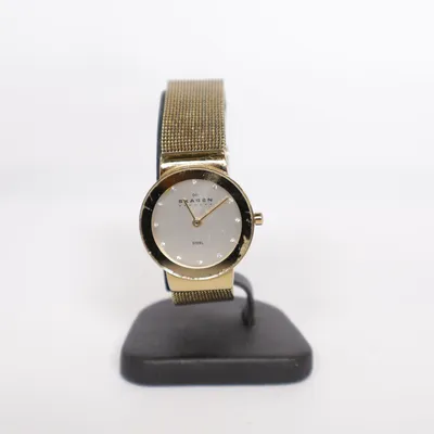 Montre (Or) de Skagen