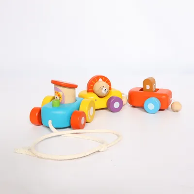 Pull toy (Multicolored) from PlanToys