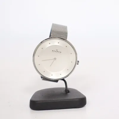 Montre (Argent) de Skagen
