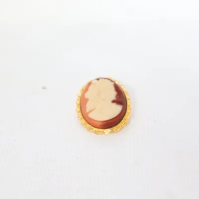 Brooch (Gold, Beige, Brown) Unknown metal