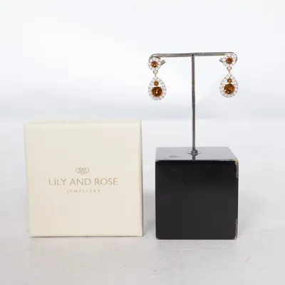 Örhängen (Flerfärgad) från Lily and Rose Okänd metall