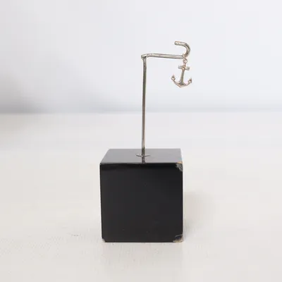 Hanger (Zilver) Onbekend materiaal