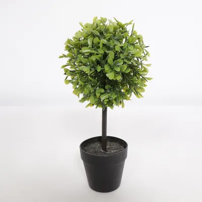 Kunstig plante (Sort, Grøn)