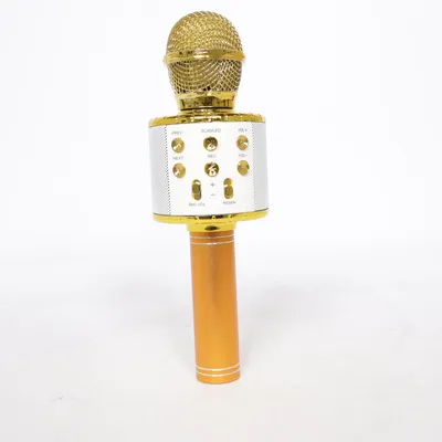 Microphone (M1)