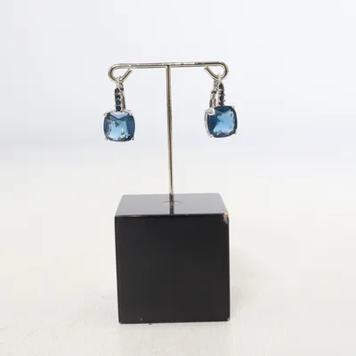 Boucles d'oreilles (Argent, Bleu) Métal inconnu