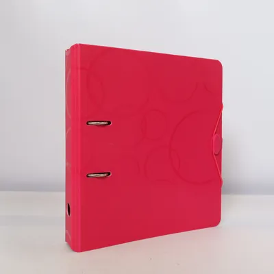 Binder from Brunnen