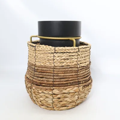 Kruka (Gojibar) från IKEA
