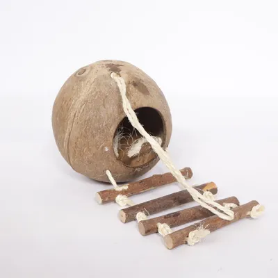 Husdjurstillbehör (Brun)