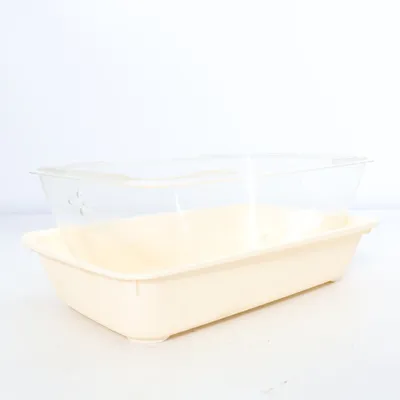 Serre (Transparent, Beige) de Parkside