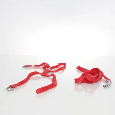 Kattenharnas (Rood)
