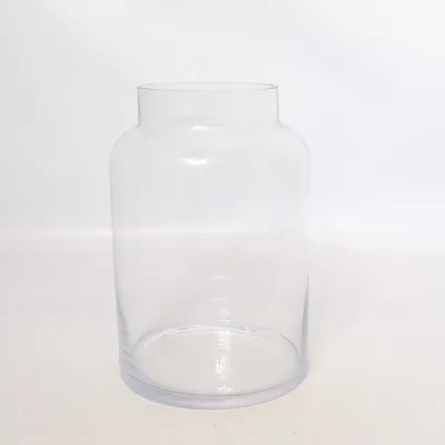 Vase (Transparent)