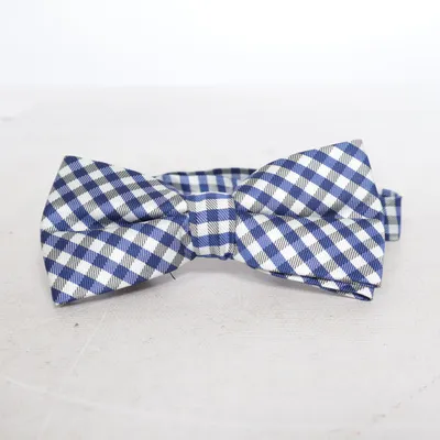 Noeud papillon (Bleu, Blanc)