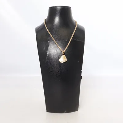 Necklace (Gold) from Aldo Stainless steel