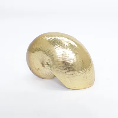 Schelp (Goud)