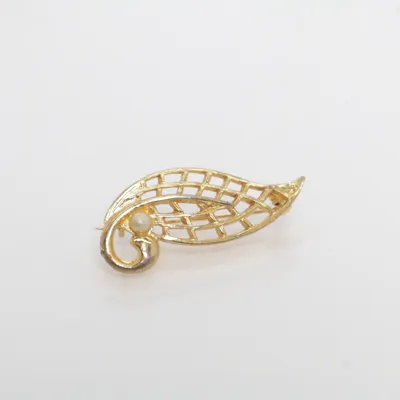 Broche (Goud) Onbekend materiaal