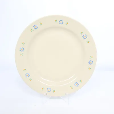 Plate (Beige, Multicolored)