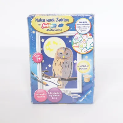 Hobby benodigdheden (Blauw, Meerkleurig) van Ravensburger