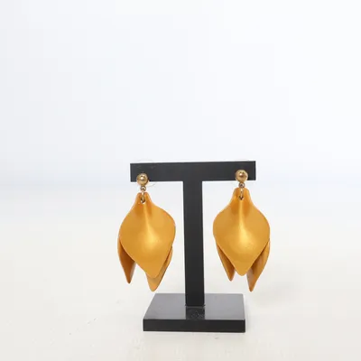 Boucles d'oreilles (Or) Métal inconnu