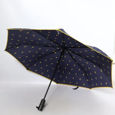 Parapluie (Bleu, Jaune) de Polo Ralph Lauren
