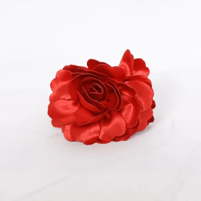 Pince à cheveux (Rouge)