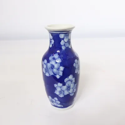Vase (Bleu, Blanc)