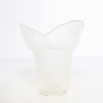 Vase (Transparent)