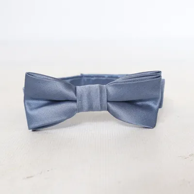 Noeud papillon (Bleu) de Next Polyester