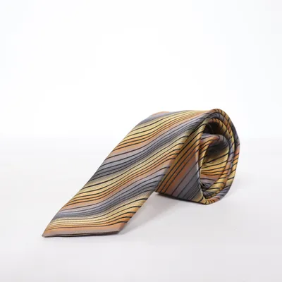 Tie (Multicolored) from Bexleys Man Polyester