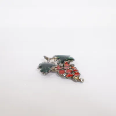 Brosch (Silverfärgad, Flerfärgad) Okänd metall