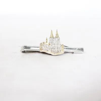 Slipsnål (Silverfärgad, Guldfärgad) Okänd metall