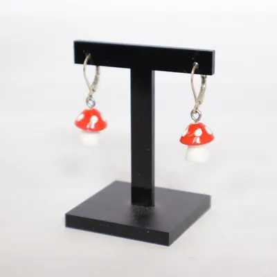 Oorbellen (Rood, Meerkleurig) Onbekend materiaal