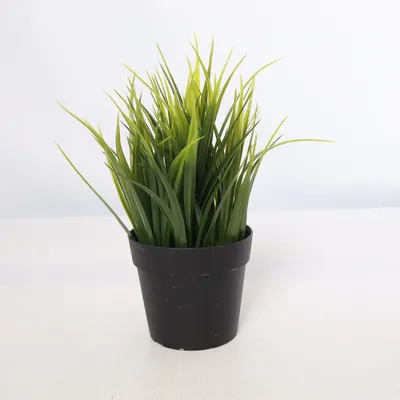 Kunstig plante (Grøn, Sort)