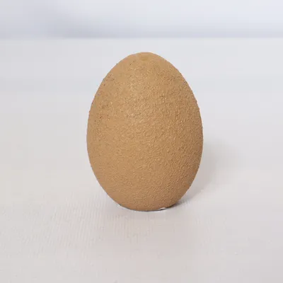 Woondecoratie (Ägg stor modell) van DBKD