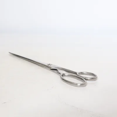 Ciseaux (Argent) de Bahco
