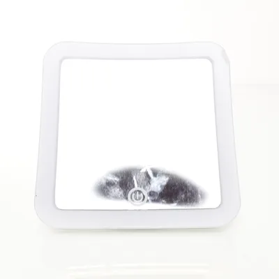 Cosmetica spiegel (Zilver) van Lacura