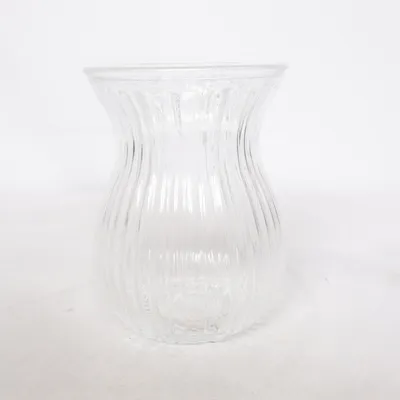 Vase (Transparent)