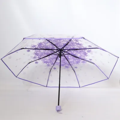 Parapluie (Violet)