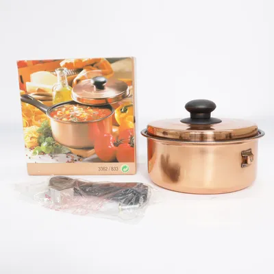 Steelpan (Roze)