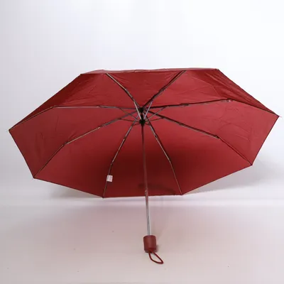 Paraplu (Rood) van Ferré