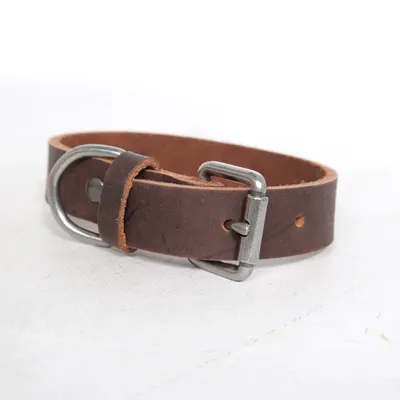 Collier pour chien (Marron) de Zara Home