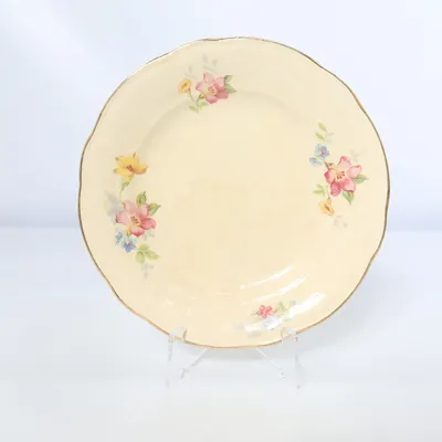 Plate (Beige, Multicolored) from Record