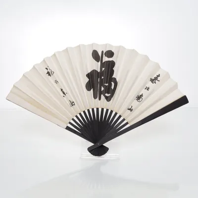 Fan (Zwart, Beige)