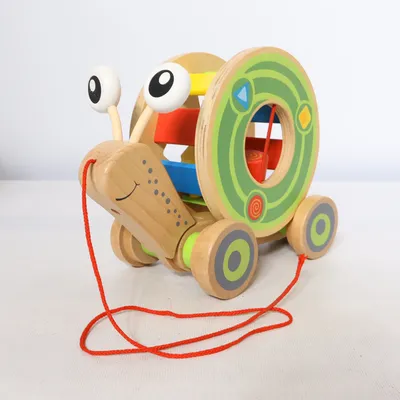 Pull toy (Multicolored) from Hape