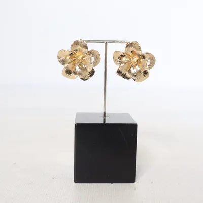 Boucles d'oreilles (Or) Métal inconnu