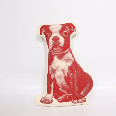 Cushion (Red, White) from Areaware Organic cotton