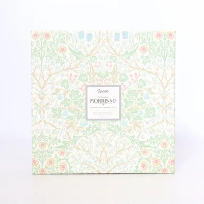 Box (White, Multicolored) from Spode